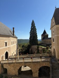 20250921_110424617_iOS